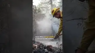 What's a 'zombie fire'? Underground fires may be to blame for Canada wildfires #Shorts