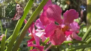 Ogrody Botaniczne i Sympozjum Biologii Miami Vlog