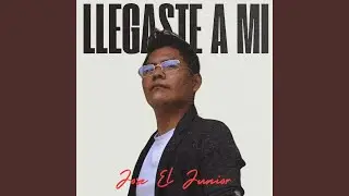 Llegaste a Mi