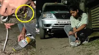 बॉटलला पण चावत होता हा साप.. इतका राग असतो या सापाला😱🐍घराच्या गेटजवळ रेस्क्यू केला हा साप