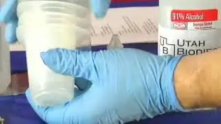 Titration Kits for Making Biodiesel