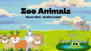 Zoo Animals: Wonders of Allah's Creation | Educational Video for Kids