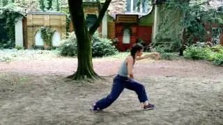inspiration from Wudang martial arts