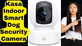 Unleash the Power of Kasa Indoor Smart Dog Security Camera