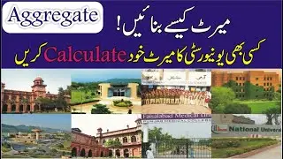 How to Calculate the Merit (Aggregate) of any University