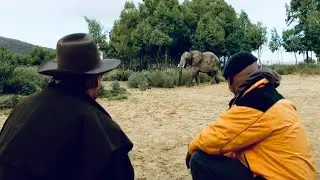 CGI vs. Practical Effects