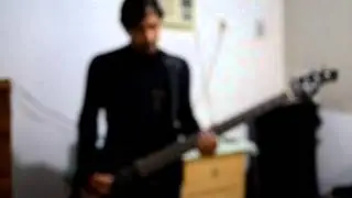Interpol bass cover summer well