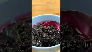 How To Make Black Mulberry Jam! Just 3 Ingredients- No Pectin