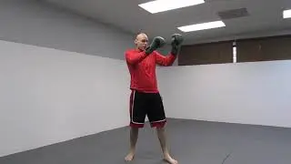 Fighting Stance Variations