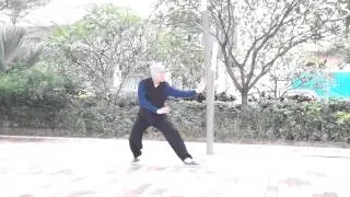 傅式八卦掌陽八卦第五掌翻身掌