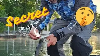 THIS BAIT CATCHES SO MANY FISH  l  Bassmaster high school at Lake Chatuge