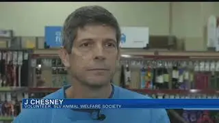 San Luis Valley animal shelter hopes to find homes for dogs in the springs