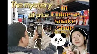The mystery of price in Chinese snake shop
