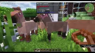 Minecraft Horse Color Genetics Lesson 2: Dun