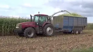 Andurt Maize Part 1