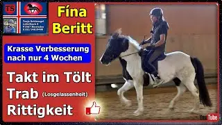 F&iacute;na Beritt, Takt im T&ouml;lt, Trab, Rittigkeit, TIPPS, Pferdetraining, Islandpferd, Tanja Schienagel