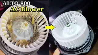 How to clean ALTO 800 Blower fan at home | Car AC Blower cleaning