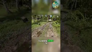 Woda stoi tam, gdzie nie powinna - czas oczyścić r&oacute;w!
