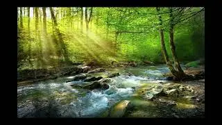 Meditação de Cura Energética (5)