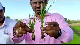 Miracle Modicare agriculture product 😇🌾☘️💚 #lokeshmodicare #agriculture #farming