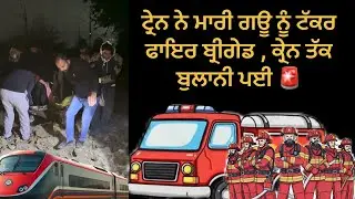 Train Accident. 72 Hours of Suffering. Fire Brigade, Crane, Cars Stuck — A Rescue Against All Odds 💔