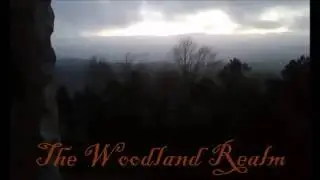 Frostwynd - King of the Woodland Realm