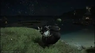 Fat Black Chocobo