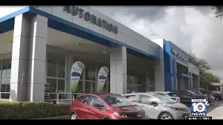 Electric Vehicles with Marc Cannon - Local 10 News at 5PM WPLG ABC Miami FL