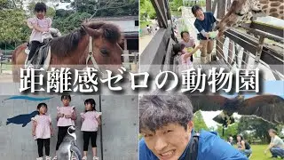 【大迫力】距離感ゼロの動物園で3姉妹が貴重な体験‼︎たくさんの動物たちと触れ合う1日に密着‼︎