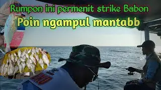 P1 Rumpon Semarang ini permenit strike ikan Derik. Beberapa jam saja kita ngampul, dapatnya?? ...