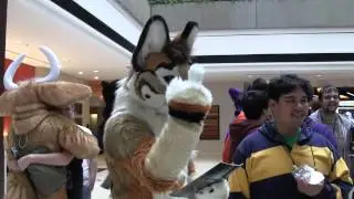 BioPaw Archives: Kartfox (MFF2013)