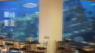Ocean in the Desert