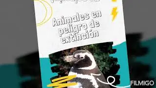 Animales en extinci&oacute;n Patagonia