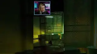 Poor Kitty, I'm Sorry! #stray #catgame #straygameplay #cats #kitty #straygame #gaming #cyberpunk