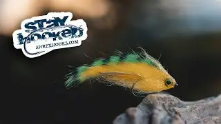 Арекс &mdash; &laquo;C-бомба&raquo; &mdash; связан Coastfly