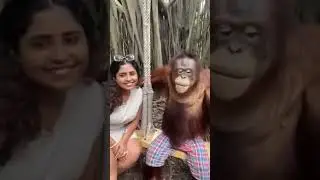 vadivelu best comedy in middle class madhavan #shorts #funny #comedyvideo #comedy #tamil
