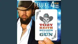 Bullets in the Gun