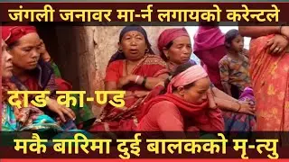 दाङमा जनावरलाई थापेको करेन्टमा परेर २ बालक म-रे। Dang News