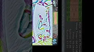 Sleep Stream short 8.01.2026 vss full video in description #sleepstream #shorts #live #sleeping