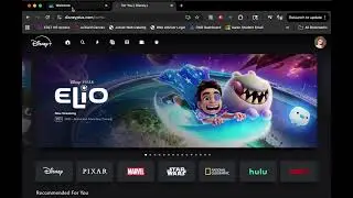 How to get past DisneyPerks Login Glitch