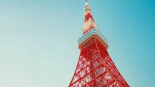 First 24 hours in Japan