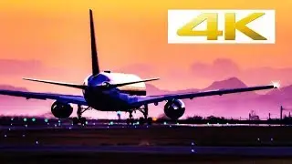 [4k] [飛行機] 夕暮れの山口宇部空港で飛行機ウォッチング