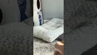 Kitten nail trimming with my brother and aunt 