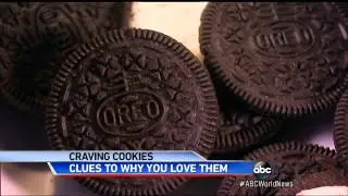 Oreos Addictive? Study Says Cookie May Be Similar to Cocaine to Rats and Dog