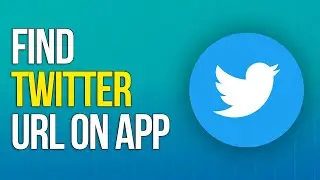 How to Find Twitter URL on App