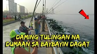 NASA BAYBAYIN LANG ANG MGA TULINGAN O SKIPJACK TUNA