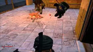 dayz standalone funny sound bug