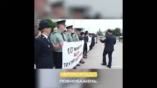 Как Польша реформировала таможню #shorts #шортс
