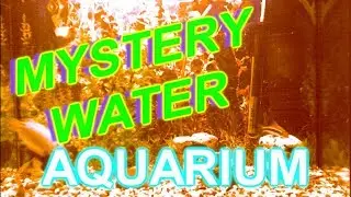 MYSTERY WATER 1. FHD  AQUARIUM - ТАЙНА ВОДЫ 1. АКВАРИУМ