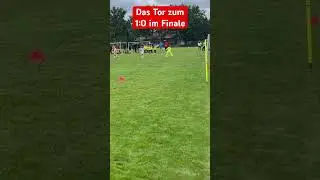 #youthfootball#fussball#LT10#goal#final#kids#soccer#messironaldo#german